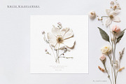 Pressed Flowers (Png) Elements, a Background Graphic by by creative paper (Thumbnail 10 of 13)