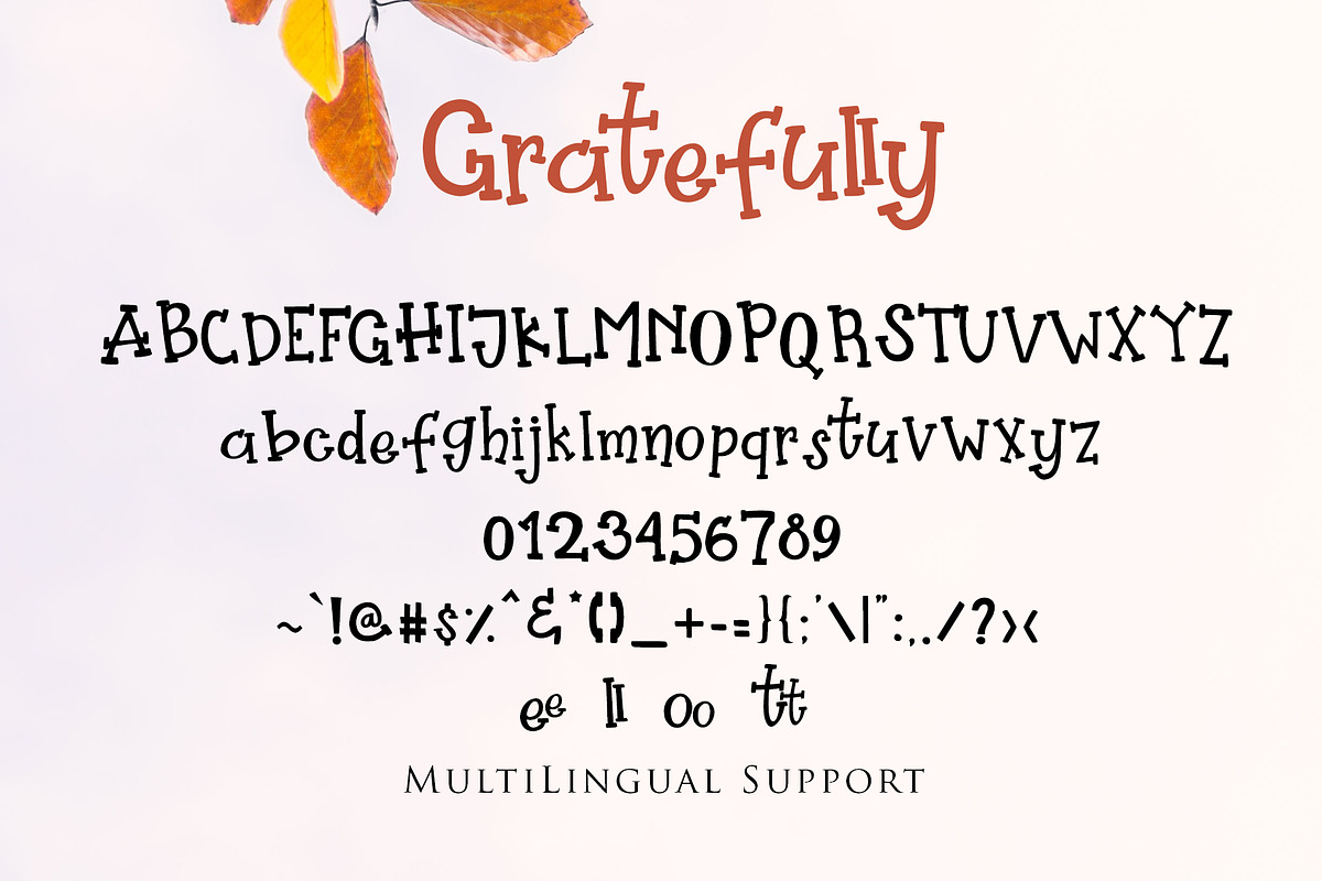 Gratefully - Slab Serif Font, a Slab Serif Font by Dm Studio (Photo 6 of 6)