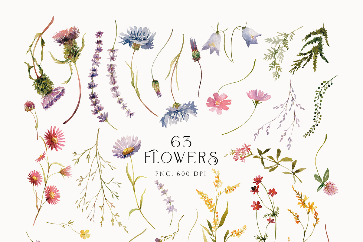 Fragrant Meadow - watercolor flowers, a Decorative Illustration by Pamyatka Shop (Photo 12 of 13)