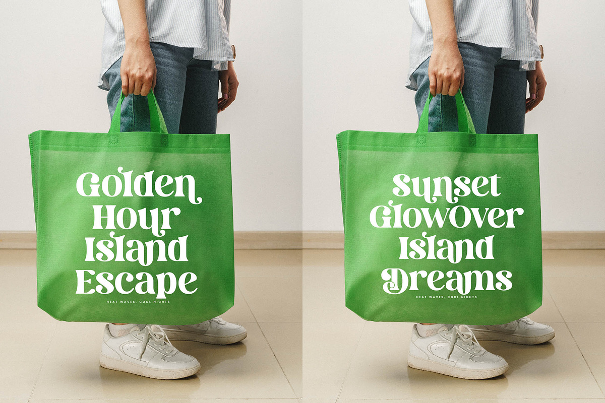 Dream Silvers Modern Serif Font, a Serif Font by timelesstype.co (Photo 10 of 20)