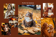 Aesthetic Fall Images PNG, a Beauty & Fashion Photo by MarkoPresets (Thumbnail 4 of 7)