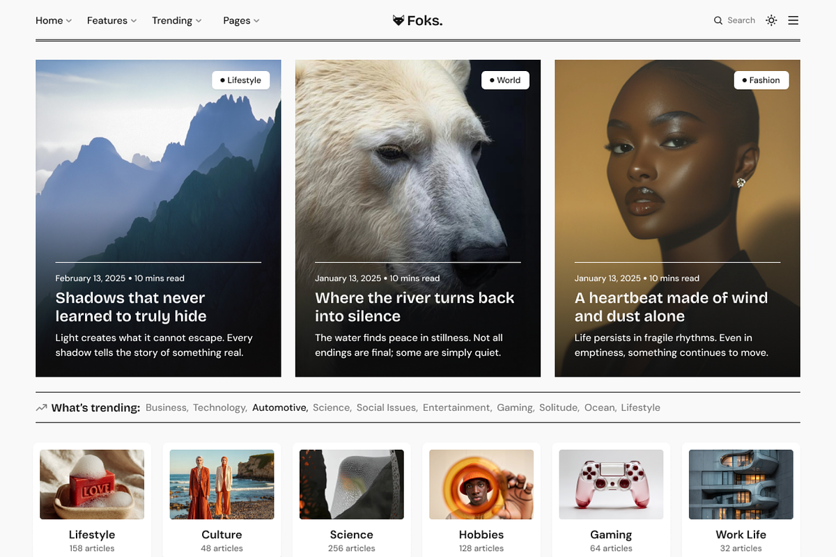 Foks - Lightweight Blog WP theme, a WordPress Template by AliThemes (Photo 6 of 6)