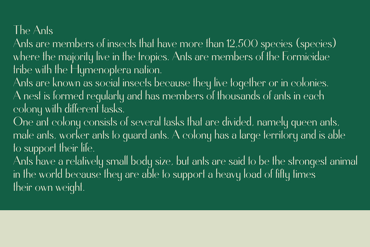 Nicales Typeface, a Sans Serif Font by Nowpe Studio (Photo 2 of 6)