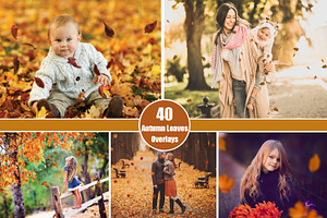 40 Autumn Leaves Overlays