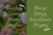 Wildflower Garden | Whimsical Font, a Handwritten Font by type peace (Thumbnail 4 of 14)