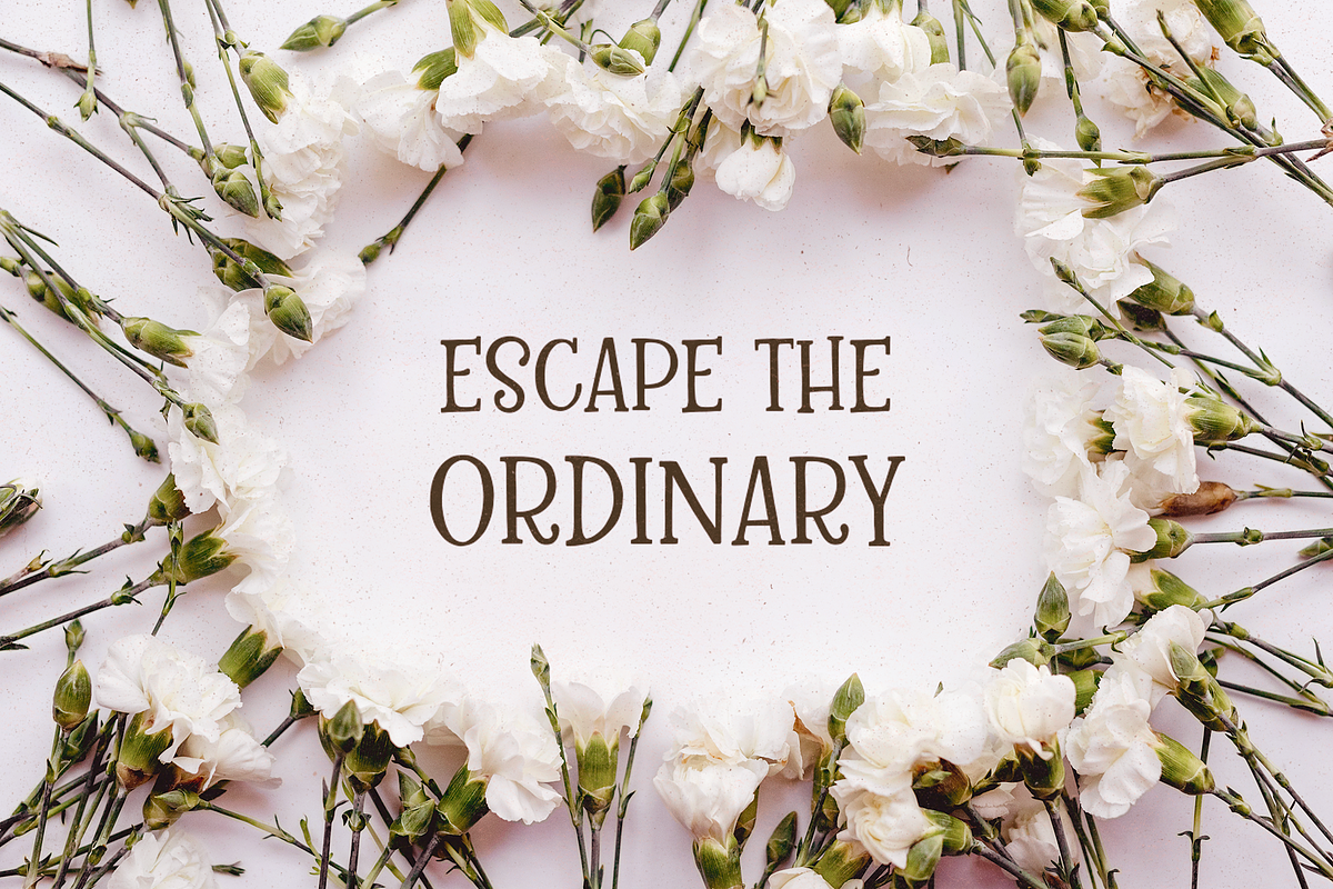Kingsbury, a darling serif caps font, a Serif Font by Rachel White Art (Photo 9 of 12)