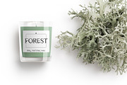 Flora | Modern Display Font, a Serif Font by Kandella's Art (Thumbnail 5 of 18)