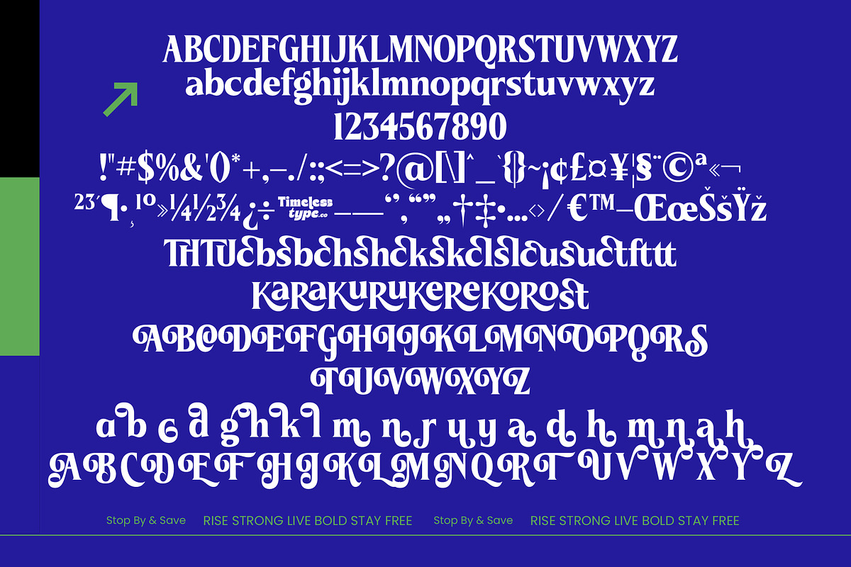 Brengthe Modern Editorial Serif, a Serif Font by timelesstype.co (Photo 10 of 10)
