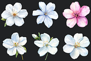 Jasmine Flower Bloom Clipart, an Illustration by Rose Art (Thumbnail 4 of 5)
