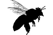 Bee Silhouette Bundle, a Background Graphic by Creativeshirt (Thumbnail 16 of 18)