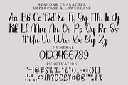 Starlight, a Handwritten Font by FreshTypeINK (Thumbnail 7 of 8)