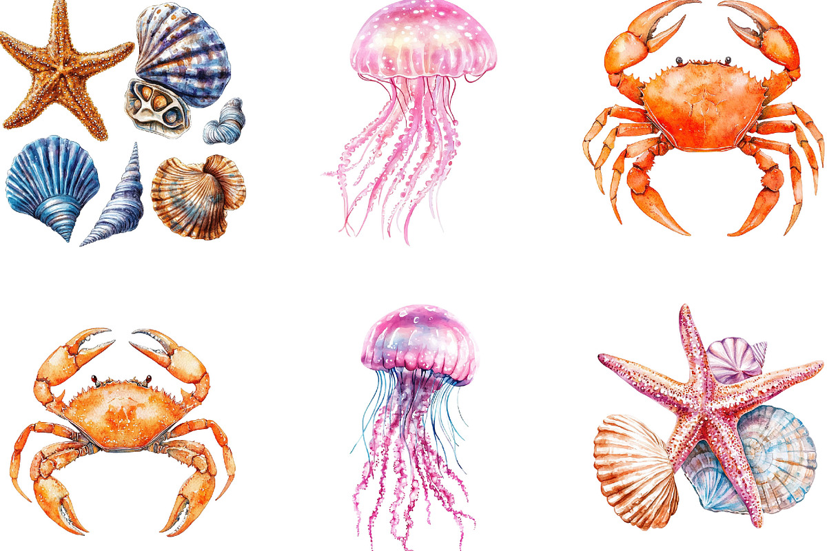Watercolor Ocean Animals Clipart, an Illustration by Designking (Photo 2 of 5)
