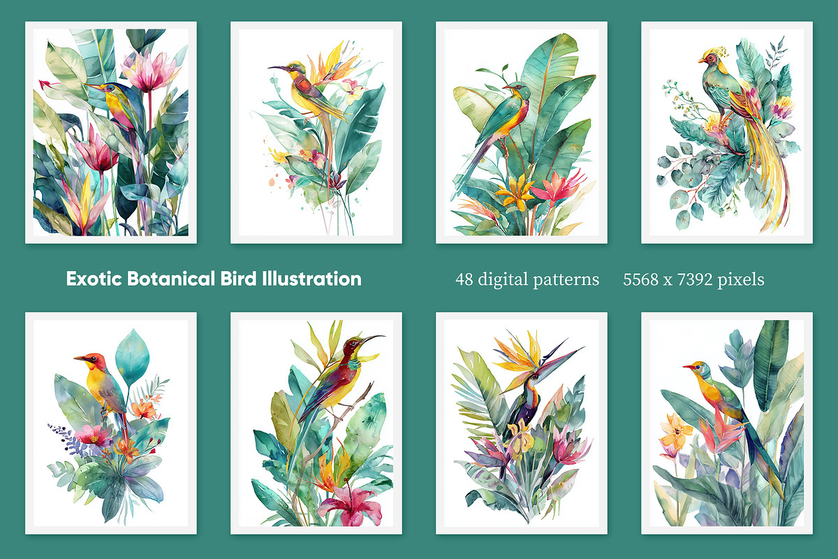 Exotic Botanical Bird Illustration, a Decorative Illustration by Housui Patterns (Photo 2 of 12)