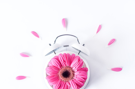 Spring Time - Stock Photo