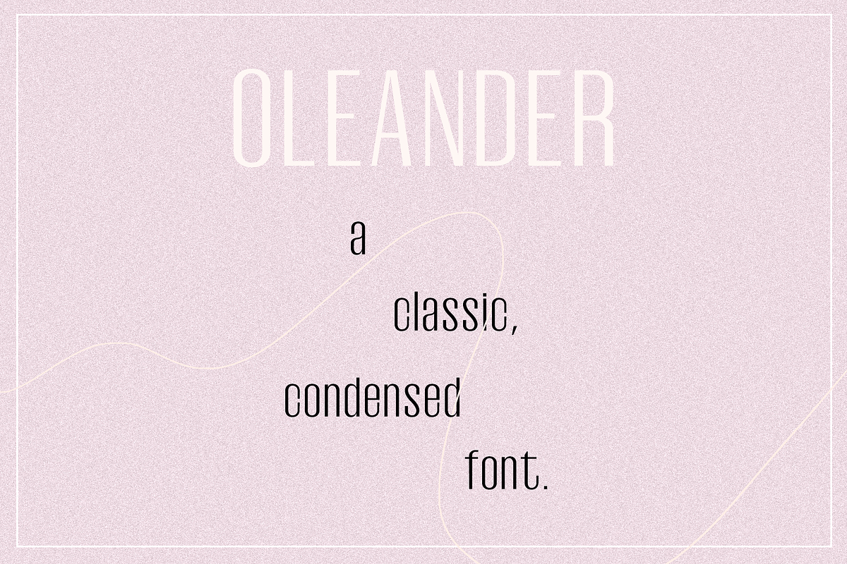 Oleander | Sans-Serif + 10 Cutouts preview 2