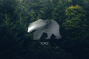 TOPO - Abstract Vector Designs, an Object Graphic by ME_COLLAGE (Thumbnail 5 of 21)