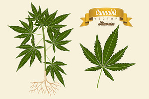 Cannabis illustration