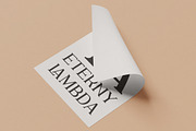 Moonsclare Feminine Type, a Serif Font by Artiveko (Thumbnail 7 of 8)