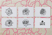 50 Peony Flower Vector Illustrations, an Illustration by Inkwell Supply Co (Thumbnail 10 of 20)