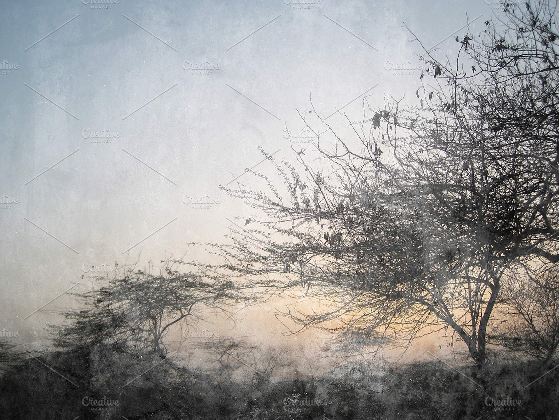 Urban Trees Background