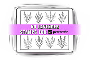 50 Lavender Procreate Stamps Brushes, a Brush Add-On by Procreate Sale (Thumbnail 1 of 6)