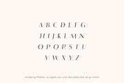 Flatline Sans Complete - 16 fonts, a Sans Serif Font by Up Up Creative (Thumbnail 6 of 10)