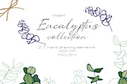 Eucalyptus, a Person Illustration by Hand drawn Boutique (Thumbnail 1 of 8)
