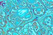 20 turquoise textures 64 Megapixel, a Texture Graphic by tkdesign (Thumbnail 15 of 20)