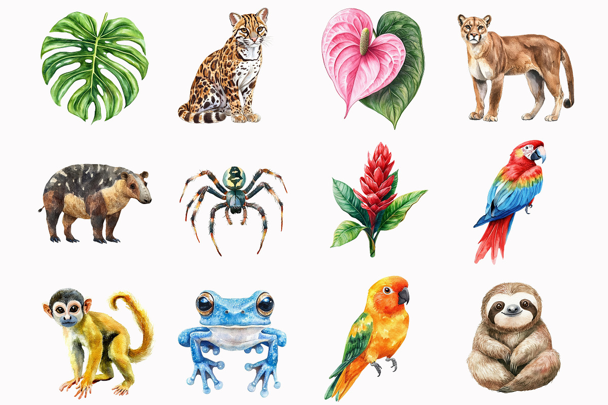 Rainforest Animals Clipart, an Illustration by Design Market (Photo 2 of 5)