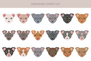 Ukrainian Levkoy cat clip art, an Animal Illustration by pet design shop (Thumbnail 4 of 5)