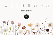 Watercolor Wildflowers Bundle, a Decorative Illustration by Lana Elanor (Thumbnail 5 of 9)