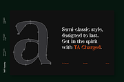 TA Charged, a Serif Font by TAFT Foundry (Thumbnail 2 of 19)