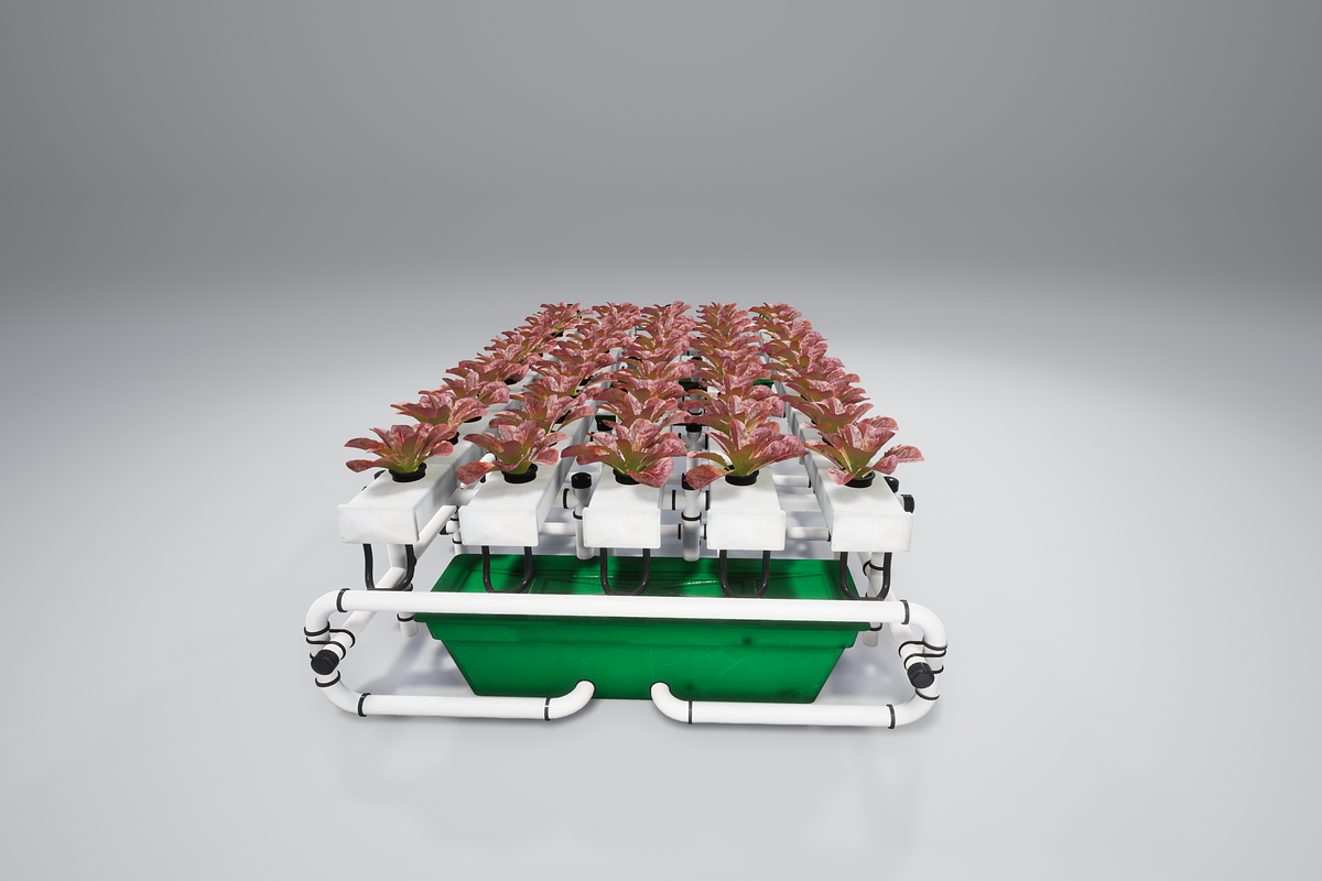 Hydroponics system LG, an Environmental 3D Model by AndrewWhite (Photo 10 of 17)