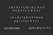 Celvane | Classic Serif Typeface, a Serif Font by Artdez (Thumbnail 4 of 5)