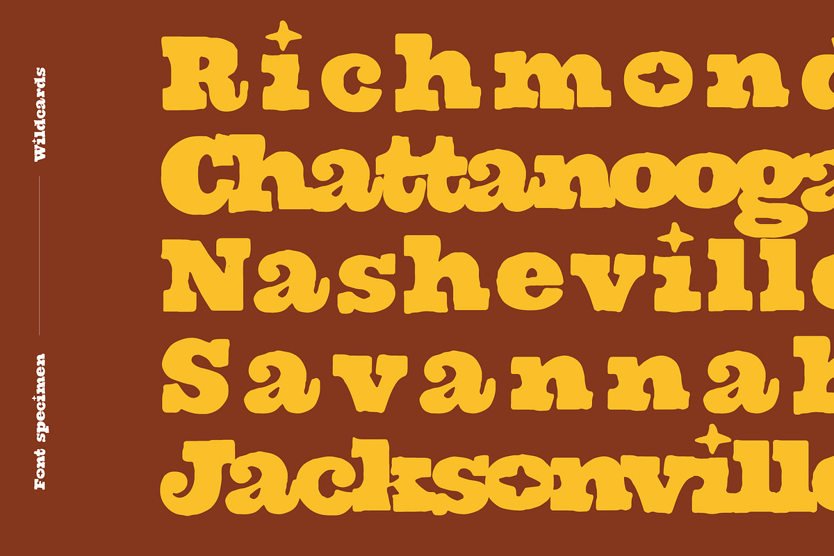 Wildcards, a Slab Serif Font by Midnight Grim (Photo 2 of 7)