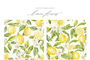 New! Summer + Fall Edition Bundle, a Seasonal Illustration by Isabelle Salem (Thumbnail 216 of 272)