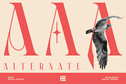 Meave, a Serif Font by Eotype Studio (Thumbnail 5 of 12)