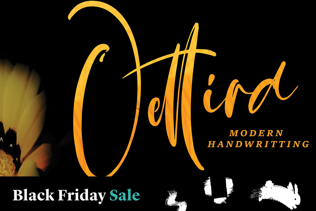 Qettira Black Friday, a Script Font by pineungtype (Photo 1 of 8)