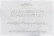 Wonderfull Font Collection, a Script Font by Chocotype Std (Thumbnail 35 of 51)