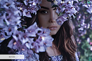 Matte Lightroom Presets Collection, a Plug-in Add-On by FixThePhoto (Thumbnail 62 of 91)