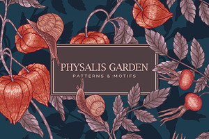 PHYSALIS GARDEN — Botanical Patterns, a Decorative Illustration by Liiafis