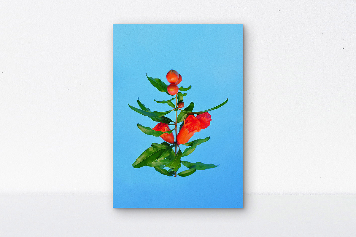 Pomegranate Flower - Printable Art, a Nature Photo by VietArtworks (Photo 1 of 6)