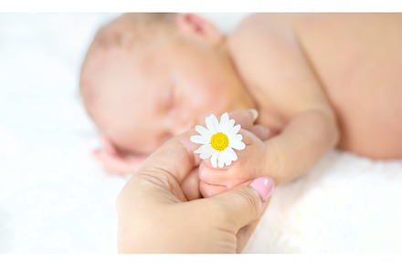 Newborn baby sleeps with chamomile, a Person Photo by yanadjana
