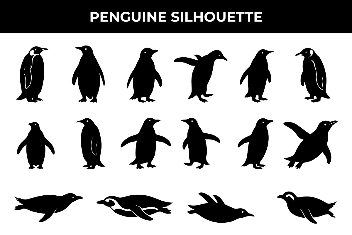 Penguin Silhouette Vector Art, an Animal Illustration by nandinigraphics (Photo 1 of 4)
