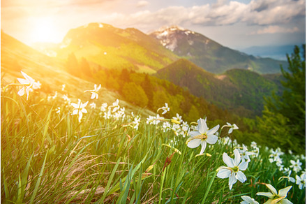 Beautiful mountain landscape with, a Nature Photo by Nature and travel