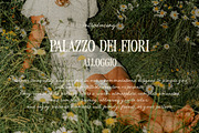 Vintage Serenade - Organic Font Duo, a Serif Font by Bale Type (Thumbnail 9 of 12)