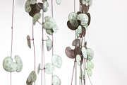 Neutral Collection | Styled Stock, a Business Photo by Chalking Up Stock (Thumbnail 3 of 25)