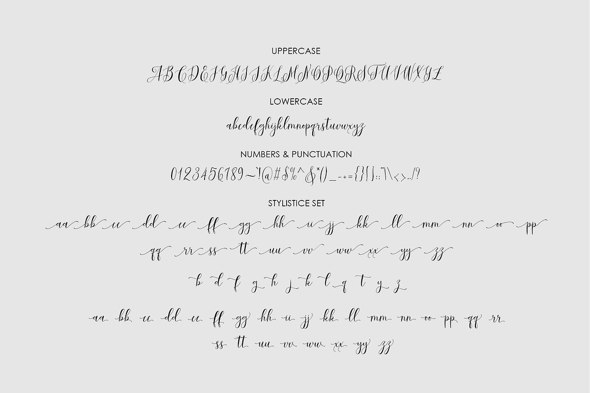 Constant script, a Script Font by Artic Type (Photo 6 of 6)