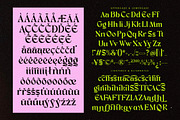 Enligas Modern Serif Display Font, a Serif Font by timelesstype.co (Thumbnail 15 of 15)
