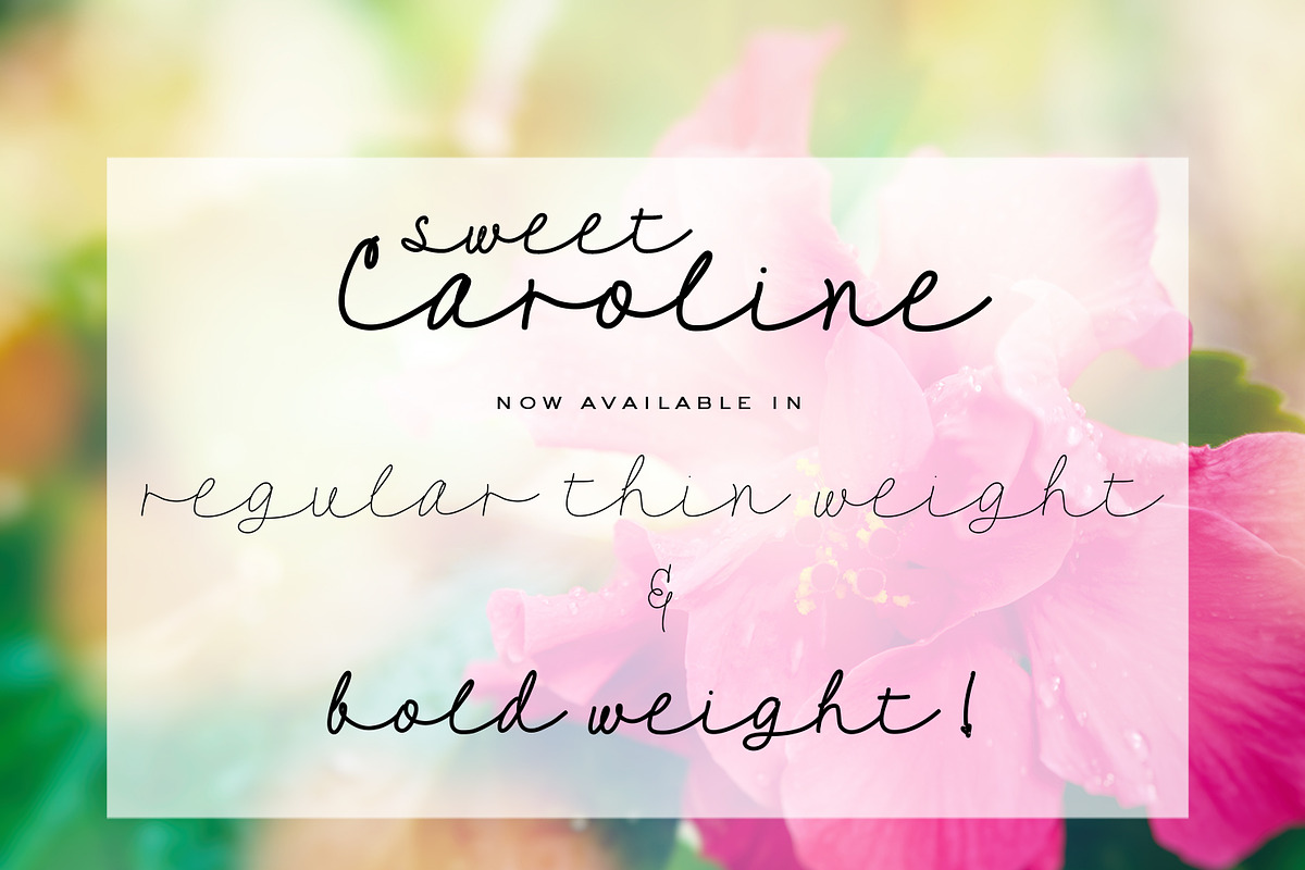 Sweet Caroline preview 3